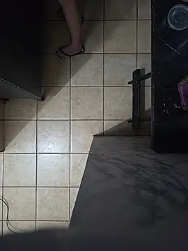 Show de webcam de MemorableVector66