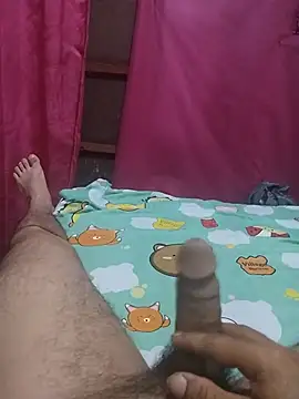 aybied Webcam-Show