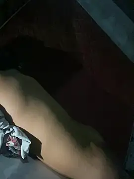 Gopolo123n Webbikameraesitys