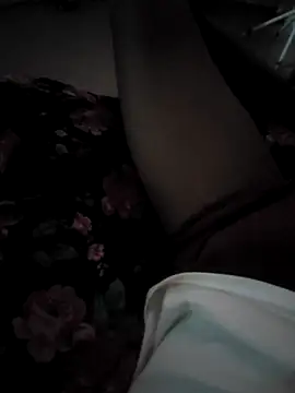 pretosali Webcam-Show
