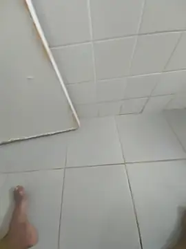 pretosali Pertunjukan Webcam