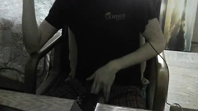 Show webcam de FiSTALiTY