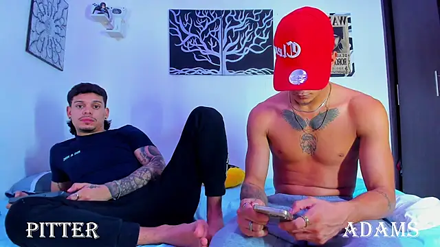 Show de AdamsDvi na webcam