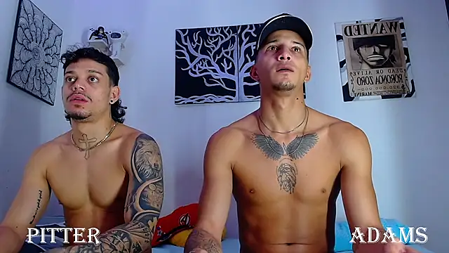Show webcam de AdamsDvi