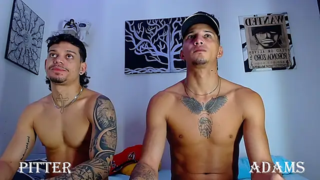Show Webcam de AdamsDvi
