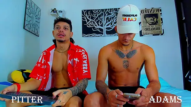 Show webcam de AdamsDvi