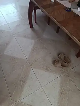 Pertunjukan Kamera Web SHARLOTYJUANSTEVAN