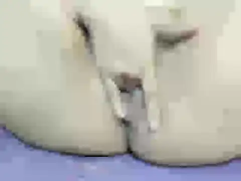 Pokazy przed kamerką – Skarleth2026