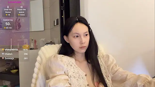 DD-5200 Show Webcam
