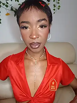 TinnaNoir Live XXX-chat
