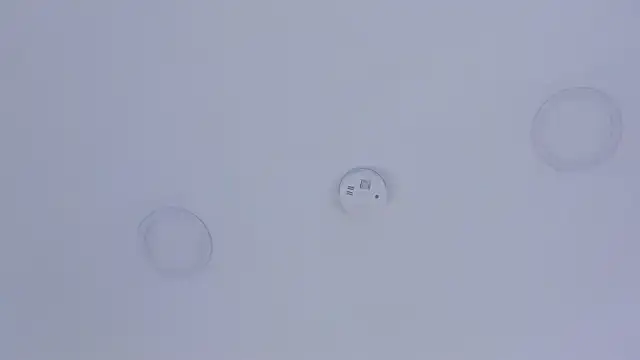 Živá chatovací místnost ariavelvet_