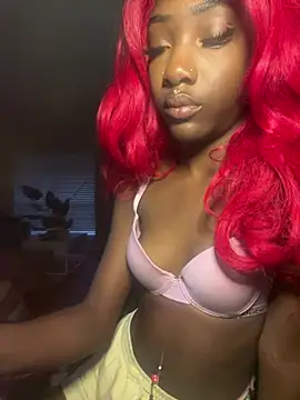 Loopsies Show Webcam
