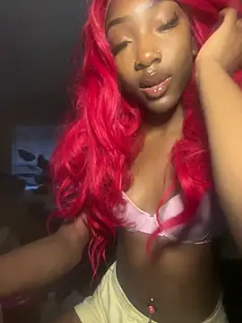 Loopsies Show Webcam