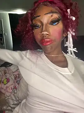 Loopsies Show in webcam