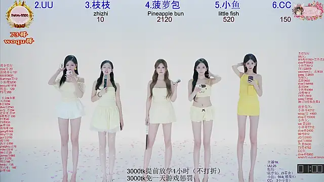 โชว์เว็บแคมของ Retro-8090SS