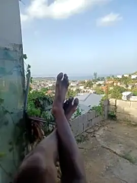 הופעת וובקאם של tallneck