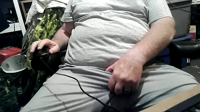 phlwissn Webbikameraesitys