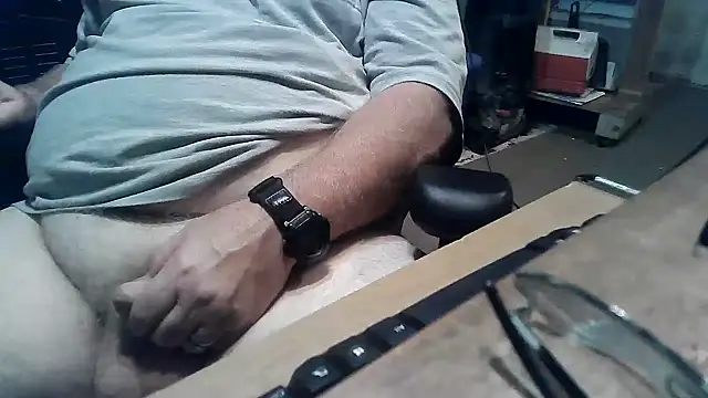 phlwiss Webcam show