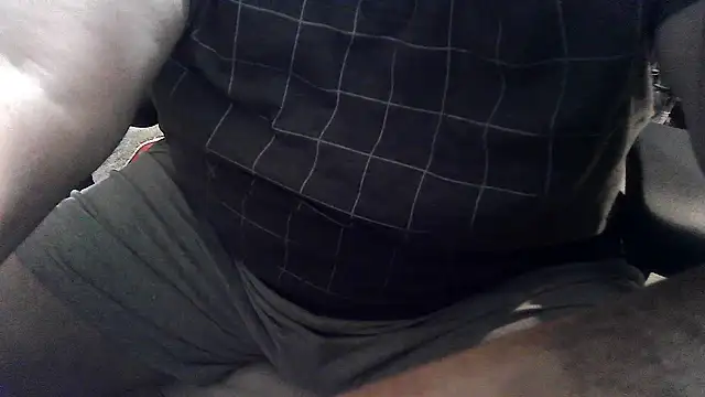 Show de phlwiss na webcam