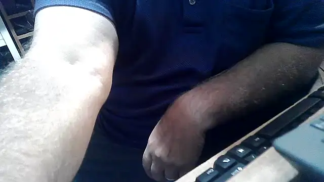 Show webcam de phlwiss