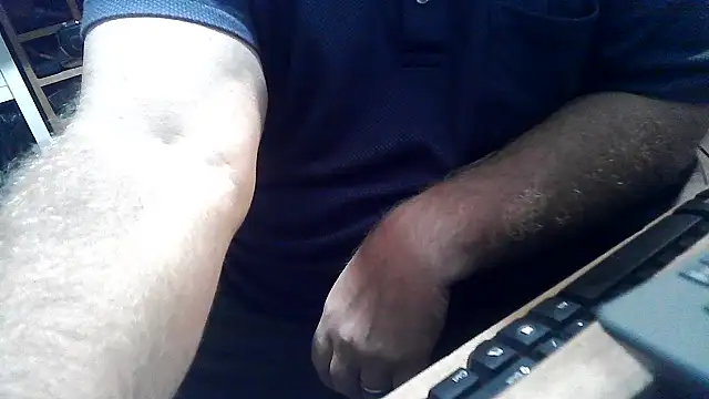 phlwiss Show Webcam
