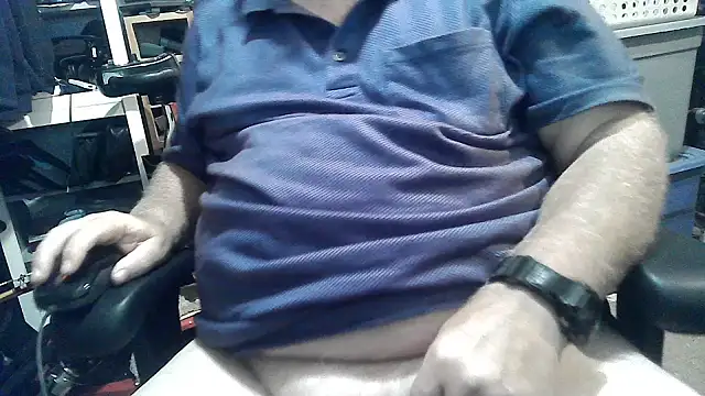 phlwissn Webbikameraesitys