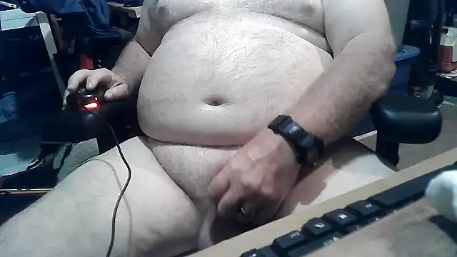 Show Webcam de phlwiss