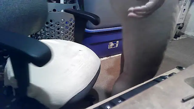 Show de webcam de phlwiss