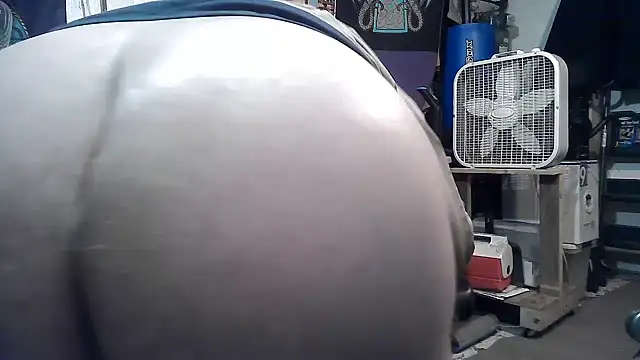Show webcam de phlwiss