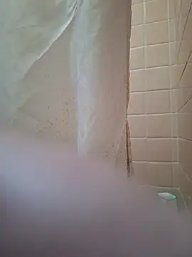 phlwiss Webcam Show