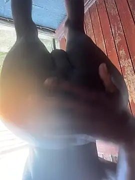 BumbleBee84n Webbikameraesitys