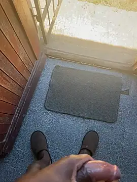 BumbleBee84 Webcam show