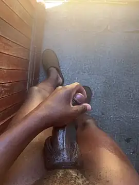 BumbleBee84 Webcam show