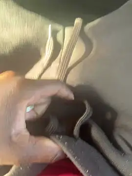 BumbleBee84 Show in webcam