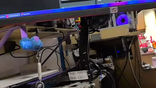 Show de webcam de SurgedSetup