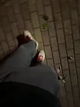 qsjt001n Webbikameraesitys