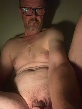 Show modela ledenjak na web-kameri