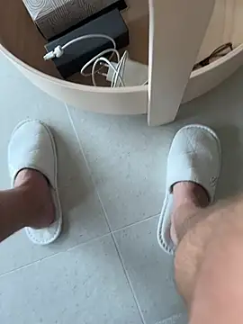Show modela ledenjak na web-kameri