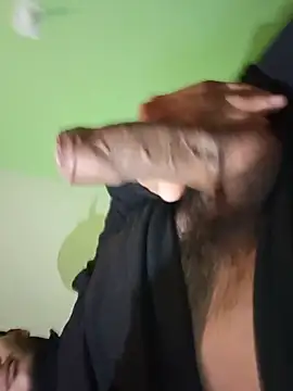 Show de webcam de 355kl