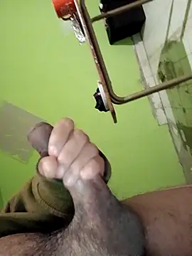 355kl Webcam show