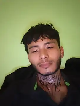 355kl webcam show