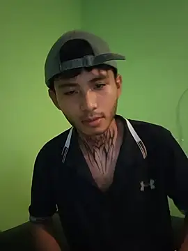 355kl Webcam Show