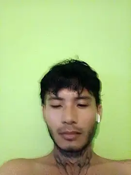 355kl Webcam Show