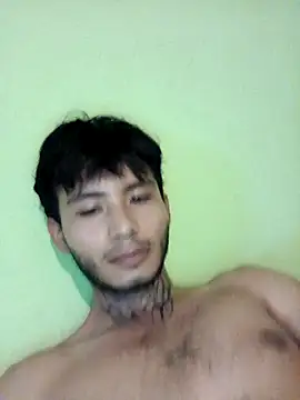 355kl Webcam show