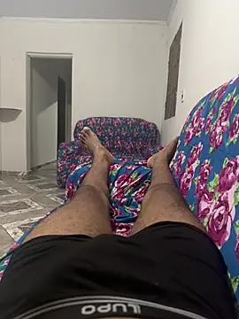 Show webcam de ohnovim