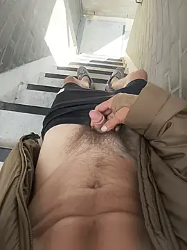 Show webcam de Speedyvinc