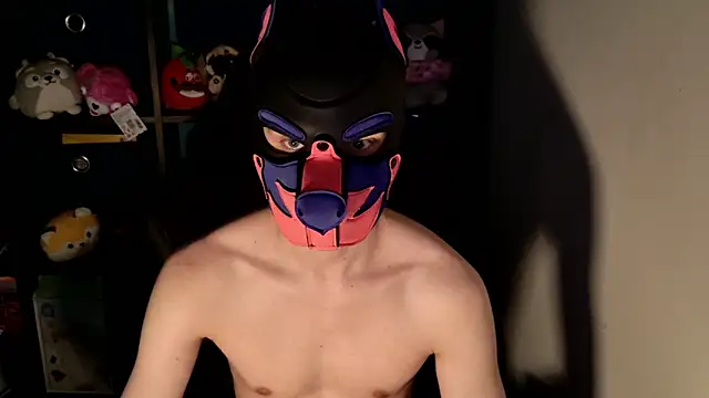 Show webcam de MellPUP