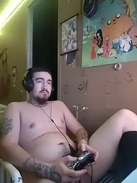 Show Webcam de XIceKingX15