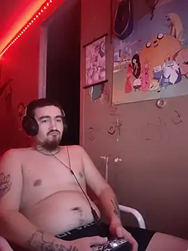 Show webcam de XIceKingX15
