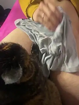 Stiven_2_n Webbikameraesitys
